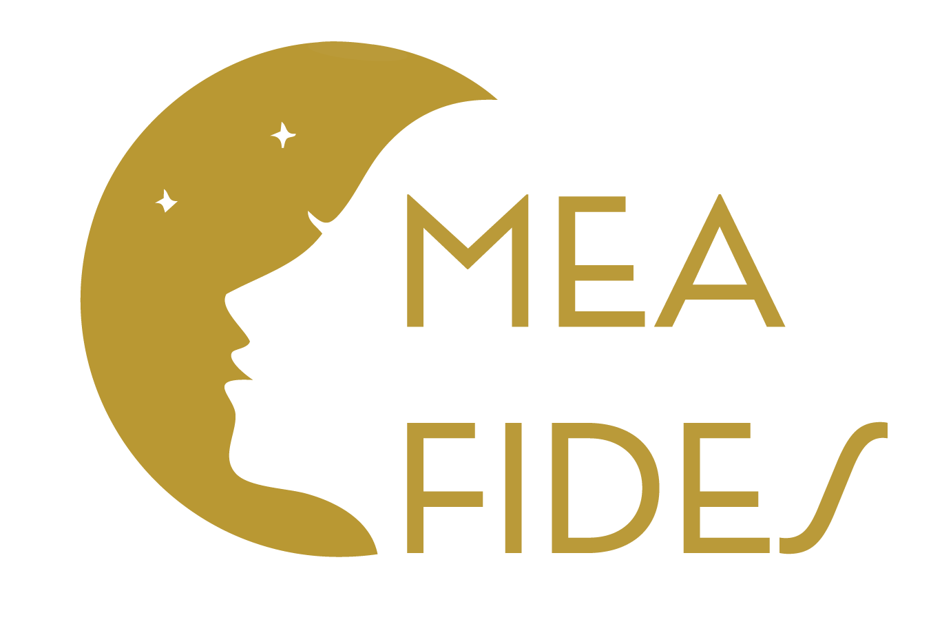 meafides.cz